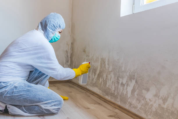 Licensed Mold Testing service in Severna Park, MD - WQB Mold Removal