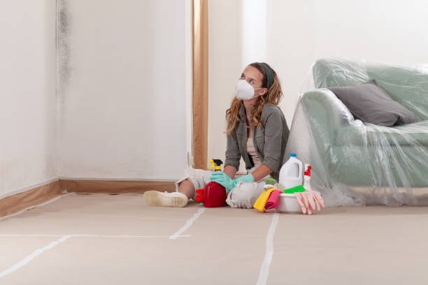 Reliable Mold Testing contractor in Severna Park, MD by WQB Mold Removal