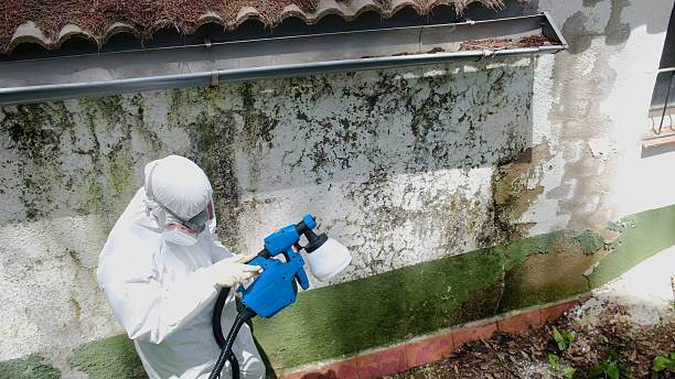 Top rated local Mold Testing specialists in Severna Park, MD